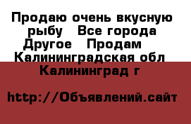 Продаю очень вкусную рыбу - Все города Другое » Продам   . Калининградская обл.,Калининград г.